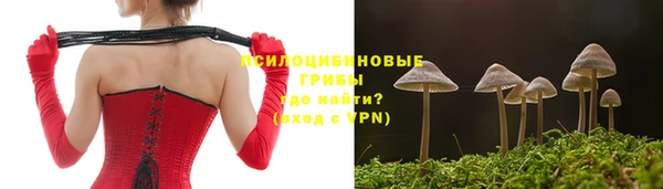 спиды Аркадак