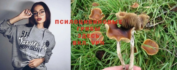 мескалин Армянск