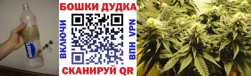 МАРИХУАНА сатива  Новопавловск 